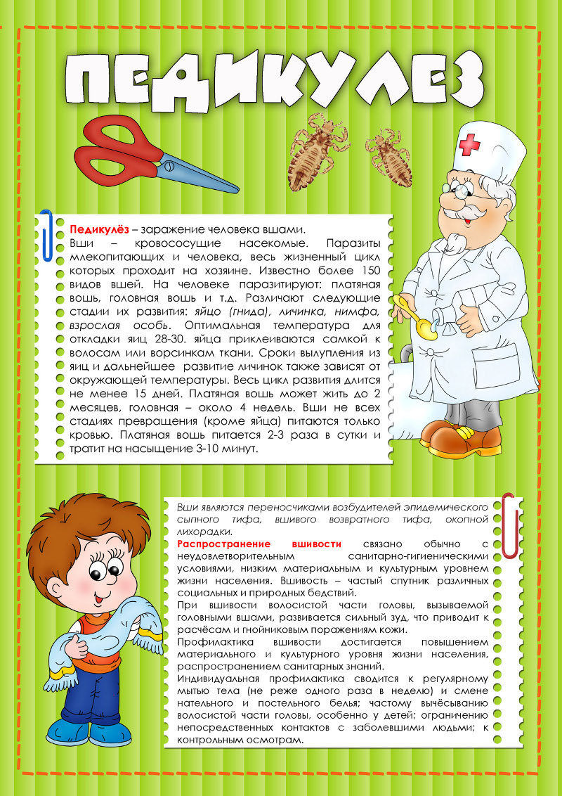 profilaktika pedikuleza1